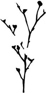 Photocircle Poster / Leinwandbild - Mantika Skandi Ast