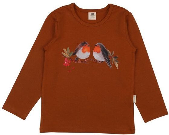 Jungen Langarmshirt aus Bio-Baumwolle „Terracotta“ rostbraun, weiches Jerseyshirt von Walkiddy für Schulkinder, vielseit...