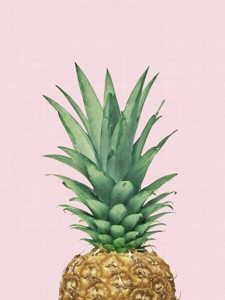 Photocircle Poster / Leinwandbild - Pineapple Pink