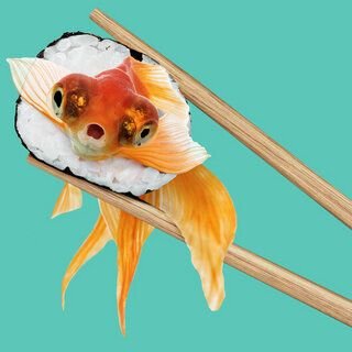 Photocircle Wandbild / Kunstdruck / Poster / Leinwand - Sushi Goldfish