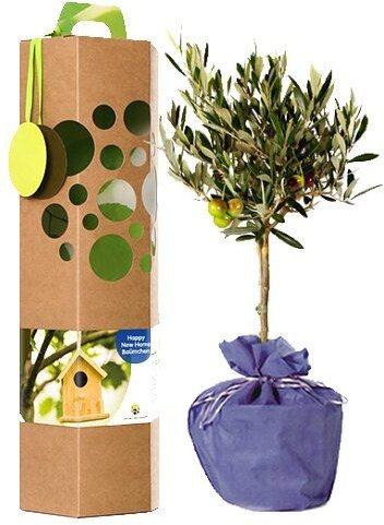 SchenkeinBäumchen Happy New Home Baum