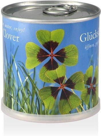 MacFlowers Pflanzen in der Dose - Glücksklee
