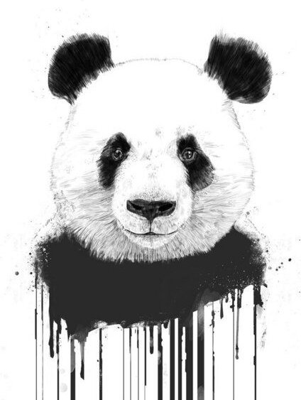 Photocircle Poster / Leinwandbild - Graffiti panda