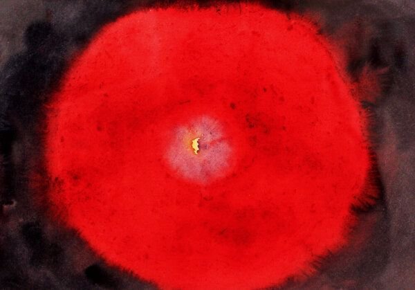 Photocircle Poster / Leinwandbild - Hilma af Klint – Birch