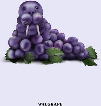 Photocircle Wandbild / Kunstdruck / Poster / Leinwand - Walgrape