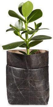 BELEAF Veganer Pflanztopf "POD LEAF" aus Blattleder