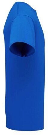 Fruit of the Loom Unisex T-Shirt mit Rundhals aus Bio - Baumwolle 15 Farben bis Größe 3XL