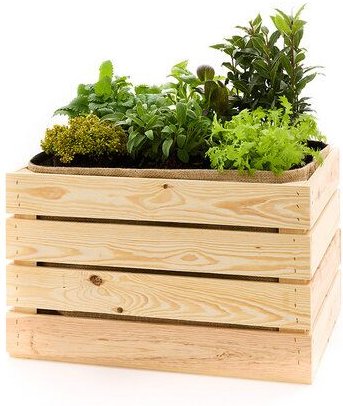 Die Stadtgärtner Pflanzkiste mit schickem Juteeinsatz