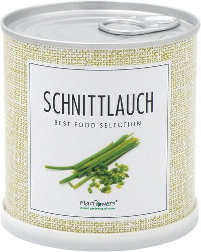 MacFlowers Blumengrüße - Echter Schnittlauch - Allium schoenoprasum in der Dose