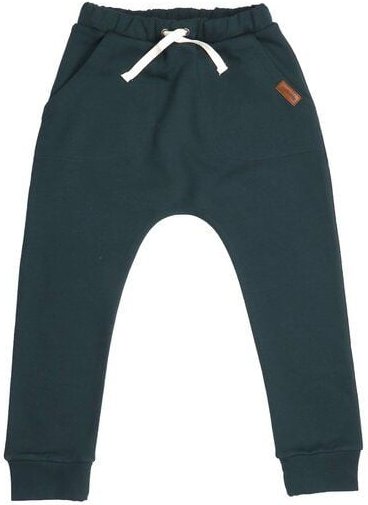 Jogginghose Grün aus GOTS-zertifizierter Bio-Baumwolle (98–116) – Walkiddy