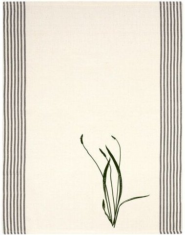 Hirschkind Bio- & Fair-Trade - Geschirrtuch 'Spitzwegerich' naturfarben