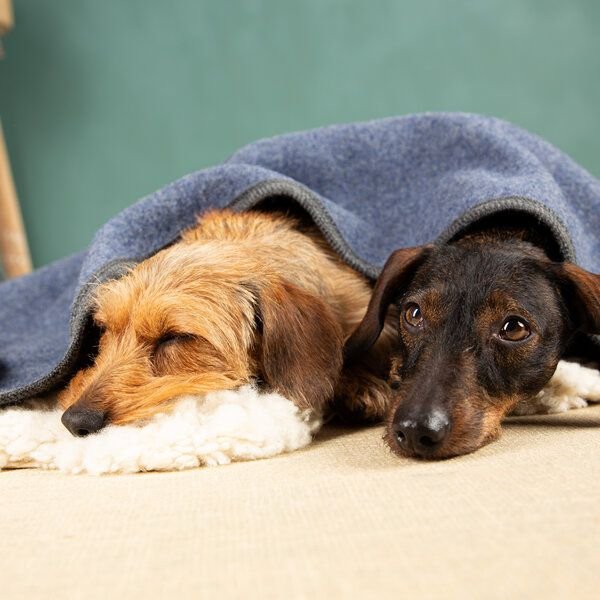 nahtur-design Hundedecke | 100% Schurwolle | natürliche Wärme