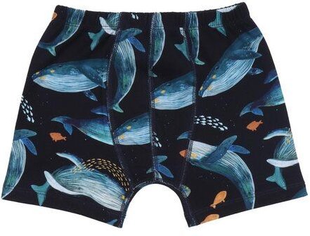 Kleinkinder Unterwäsche Bio-Baumwolle GOTS Walkiddy Humpback Whales 95% Baumwolle 5% Elasthan umweltfreundlich nachhalti...