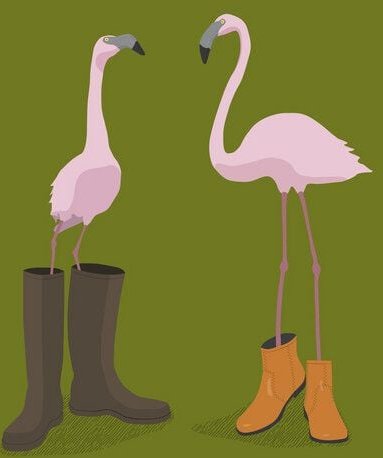 Photocircle Poster / Leinwandbild - Fashion Flamingos