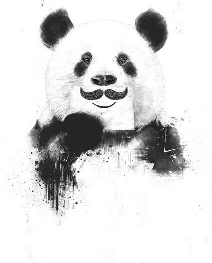 Photocircle Poster / Leinwandbild - Funny panda