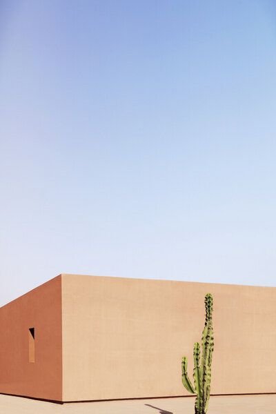 Photocircle Poster / Leinwandbild - Cactus House