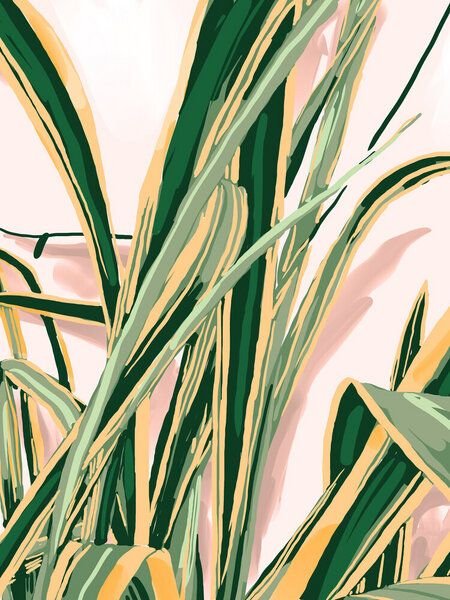 Photocircle Poster / Leinwandbild - Blush Botanical Unfolding