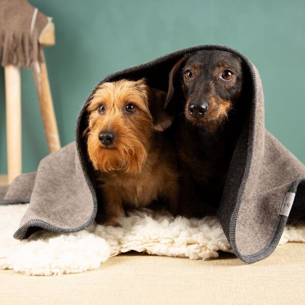 nahtur-design Hundedecke | 100% Schurwolle | natürliche Wärme
