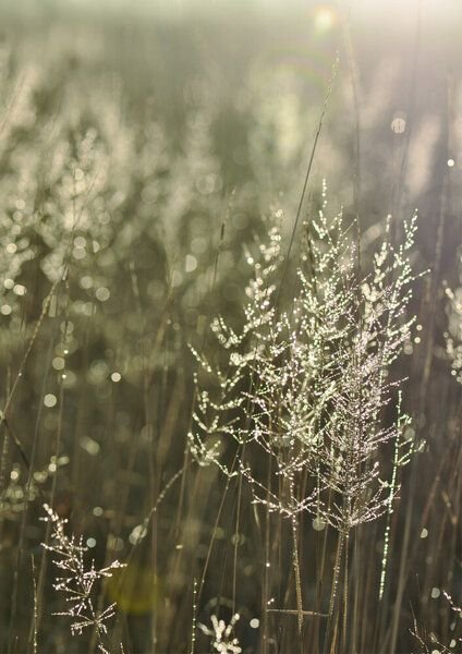 Photocircle Poster / Leinwandbild - Good Morning