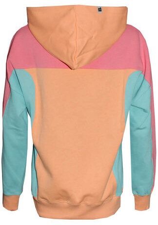 FÄDD Damen Sweatshirt Hoodie Bio-Baumwolle "Fräsch Lain Bätwing" Bunt