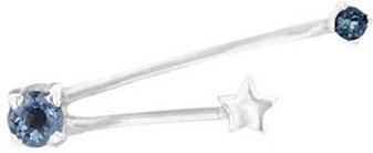 Eppi Ohrringe mit Sternzeichen Aquarius