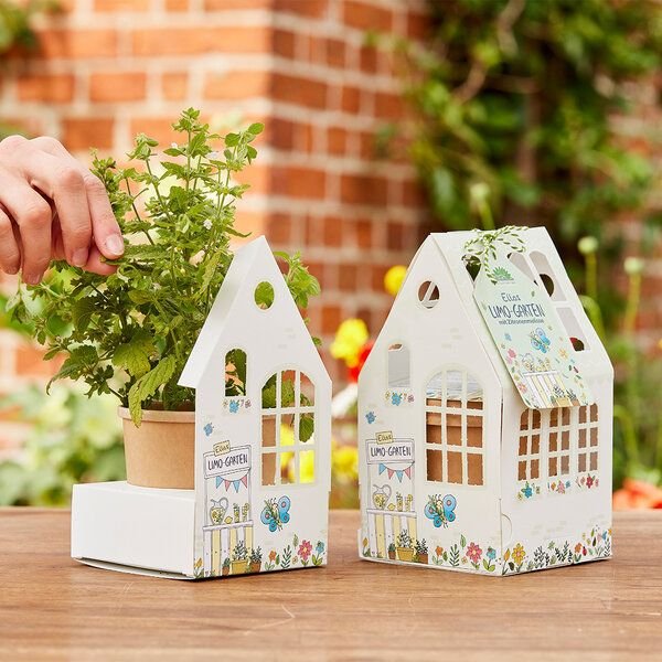 Gewächshaus Ellas Limogarten von "Die Stadtgärtner"