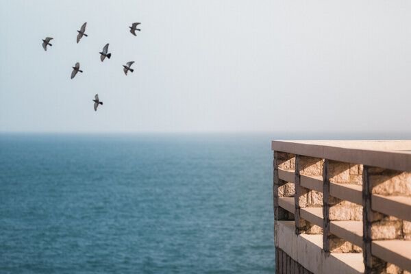 Photocircle Poster / Leinwandbild - Shekou Pier