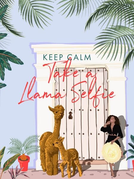 Photocircle Poster / Leinwandbild - Llama Selfie