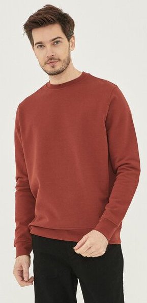 ORGANICATION Sweatshirt aus Bio-Baumwolle