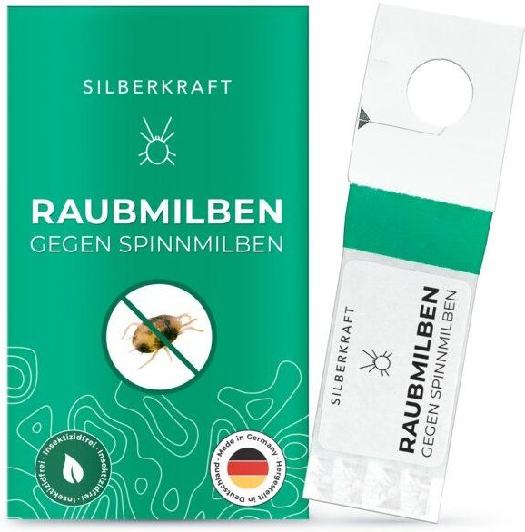 Silberkraft Raubmilben gegen Spinnmilben an Grünpflanzen