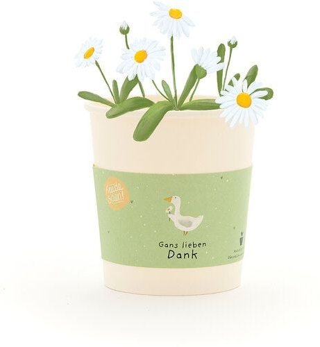 Die Stadtgärtner Gänseblümchen-Anzuchtset als Dankeschön-Geschenk | Nachhaltige Geschenkidee für Dankeschön, Abschied & ...