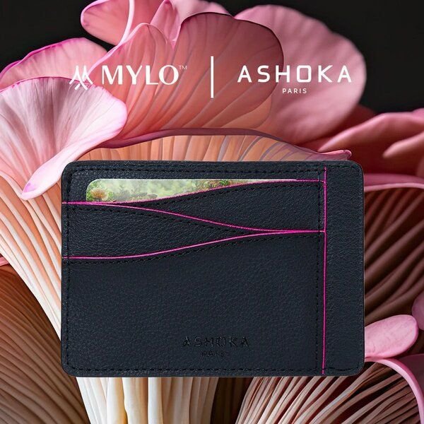 Ashoka Paris Großes Kartenetui aus Pilzleder Mylo Rosa