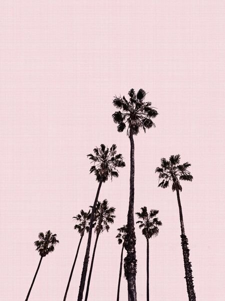 Photocircle Poster / Leinwandbild - Palm Trees in Pink