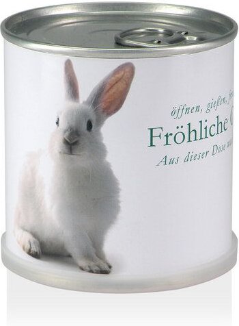 Blumen in der Blumendose Ostern - Osterhase / Vergissmeinnicht Anzucht-Set von MacFlowers