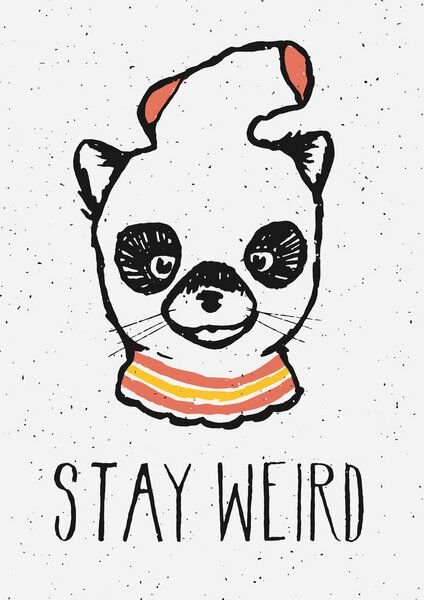 Photocircle Poster / Leinwandbild - Stay Weird