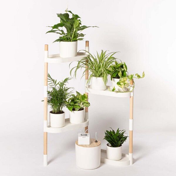 CitySens Blumenregal mit 4 Ablagen und automatischer Bewässerung.