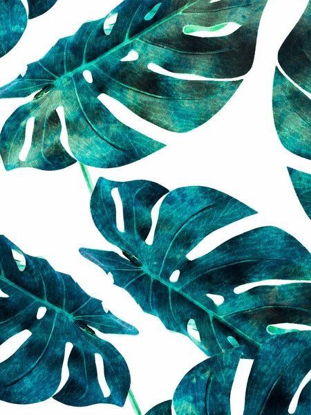 Photocircle Poster / Leinwandbild - Fixation No.8