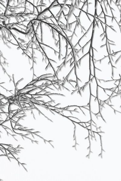 Photocircle Poster / Leinwandbild - Snowy Days