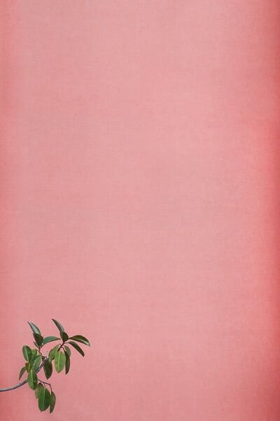 Photocircle Poster / Leinwandbild - I Just Came To Say Hello