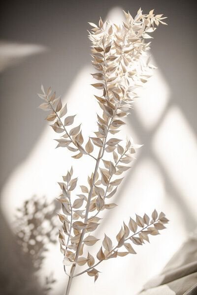 Photocircle Poster / Leinwandbild - Last Summer 8