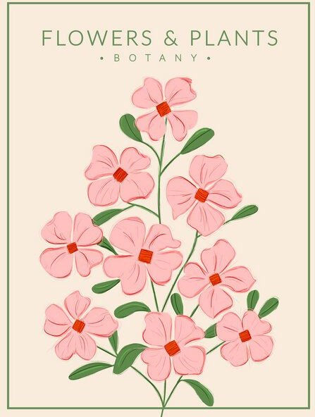 Photocircle Poster / Leinwandbild - Soft Pink Flowers - Botany no4