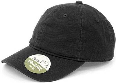 Basecap Organic Cotton Brain Waves 6 - Panel Cap Kappe