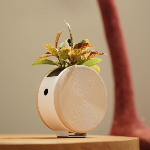 CitySens Runder Pflanzentopf mit Selbstbewässerung – Beige/Weiß