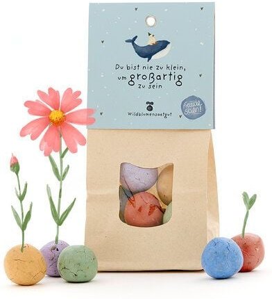 Die Stadtgärtner 8 Wildblumen-Saatkugeln als kreatives Geschenk | Geschenkidee für Neuanfänge, Prüfungen & als Mutmacher