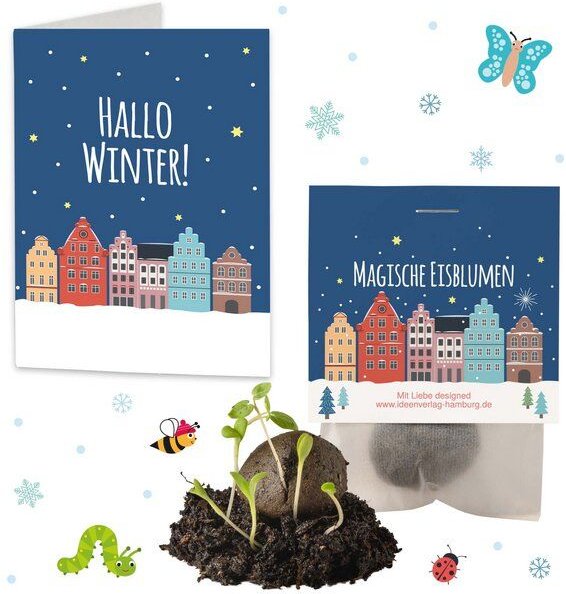 Ideenverlag Hamburg 10 „Winterlandschaft“ Samenbomben im Tütchen mit Kaltkeimer-Saatgut + 10 Gratis Geschenk Grußkarten ...