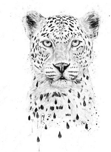 Photocircle Poster / Leinwandbild - Raining again