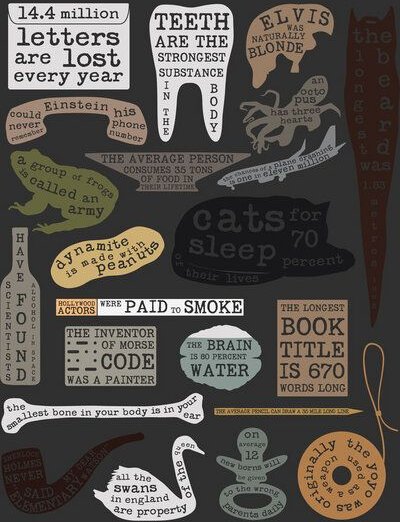 Photocircle Poster / Leinwandbild - Useful Facts