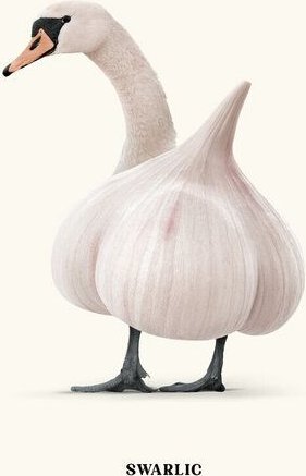 Photocircle Wandbild / Kunstdruck / Poster / Leinwand - Swarlic