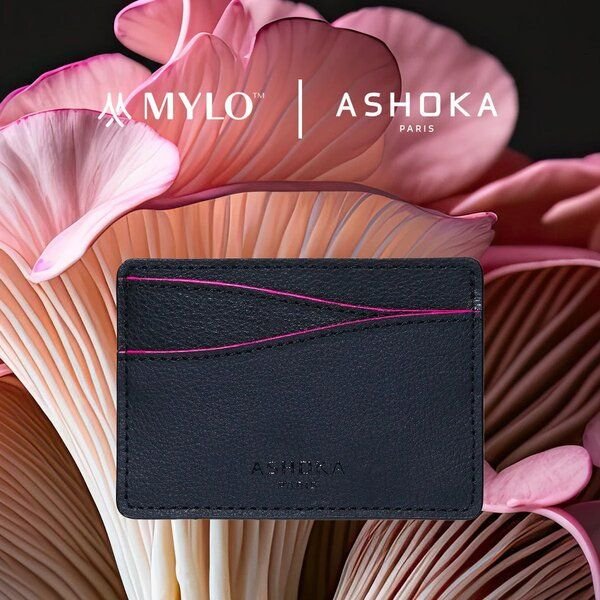Ashoka Paris Kartenetui aus Pilzleder Mylo Rosa