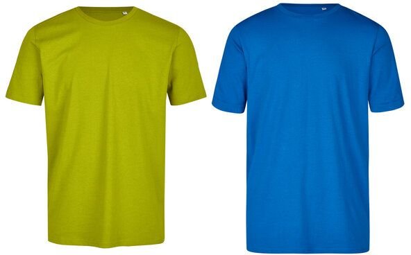 Brandless Basic Bio T-Shirt (Men Nr.3 ) Doublepack GOTS